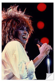 Sticker mural Tina Turner in Concert II