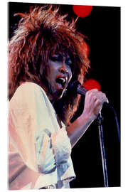 Akrylbilde Tina Turner in Concert I