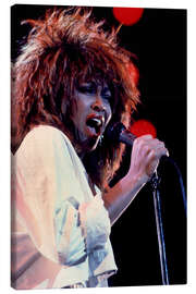 Canvas print Tina Turner in Concert I