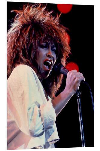 Foam board print Tina Turner in Concert I