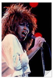 Självhäftande poster Tina Turner in Concert I