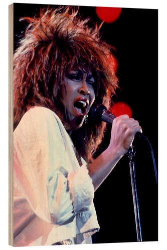 Hout print Tina Turner in Concert I