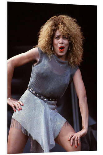 PVC-taulu Tina Turner in Valle Hovin Stadium, 1990