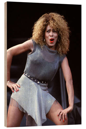 Puutaulu Tina Turner in Valle Hovin Stadium, 1990