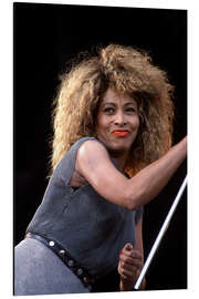 Tableau en aluminium Tina Turner, Oslo Concert, 1990