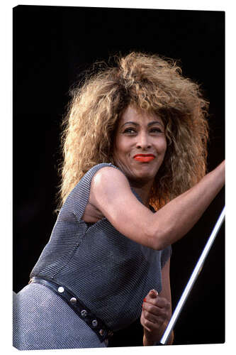 Lienzo Tina Turner, Oslo Concert, 1990