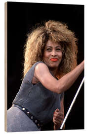 Puutaulu Tina Turner, Oslo Concert, 1990