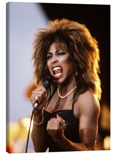 Lerretsbilde Tina Turner - Power on Stage