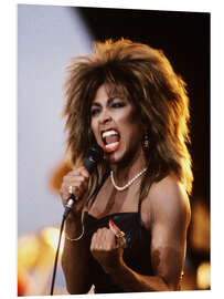 Foam board print Tina Turner - Power on Stage