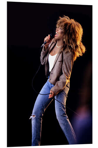 PVC-tavla Tina Turner on Stage, 1987