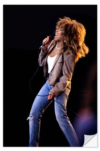 Självhäftande poster Tina Turner on Stage, 1987