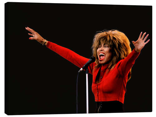 Canvas print Tina Turner, Oslo, 1987