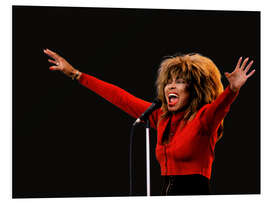 Foam board print Tina Turner, Oslo, 1987