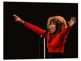 Magnettafel Tina Turner, Oslo, 1987