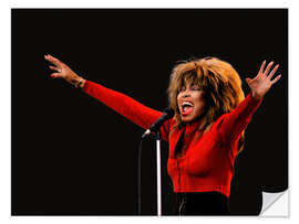 Sisustustarra Tina Turner, Oslo, 1987