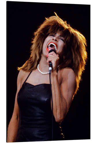 Aluminiumsbilde Tina Turner in Concert, Oslo