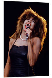 Foam board print Tina Turner in Concert, Oslo