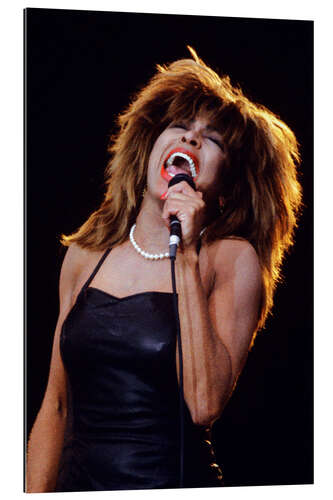 Gallery print Tina Turner in Concert, Oslo