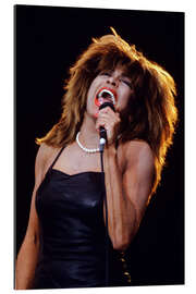 Galleritryk Tina Turner in Concert, Oslo