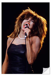 Naklejka na ścianę Tina Turner in Concert, Oslo