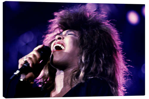 Tableau sur toile Tina Turner in Concert, Zurich, 1987