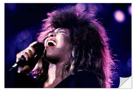 Sticker mural Tina Turner in Concert, Zurich, 1987