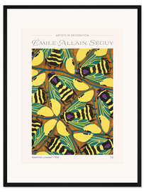 Gerahmter Kunstdruck Ausschnitt aus Tafel 20 von "Insekten", 1930