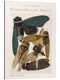 Magnettafel Tafel 1 aus "Insekten", 1930