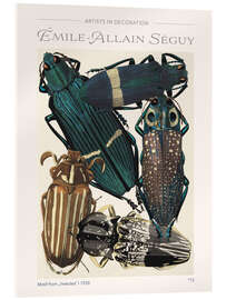 Acrylglasbild Tafel 13 aus "Insekten", 1930 - Emile Allain Séguy