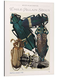 Aluminium print Plate 13 From "Insectes", 1930 - Emile Allain Séguy