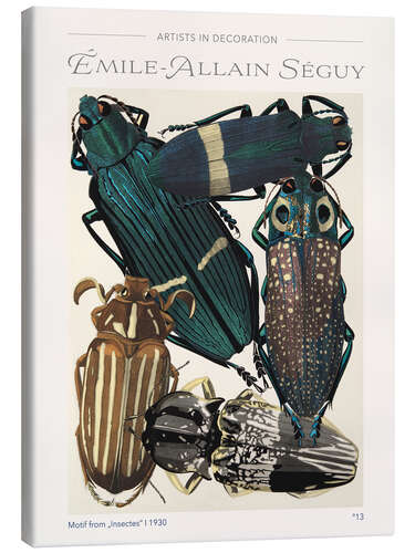 Canvas print Plate 13 From "Insectes", 1930