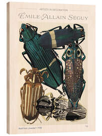 Tableau en bois Plate 13 From "Insectes", 1930 - Emile Allain Séguy