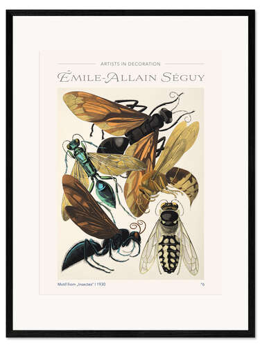 Framed art print Plate 6 From "Insectes", 1930