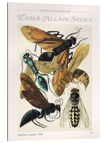 Gallery print Plate 6 From "Insectes", 1930