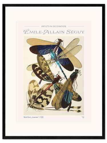 Kehystetty taidepainatus Plate 10 From "Insectes", 1930