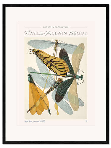 Framed art print Plate 9 From "Insectes", 1930