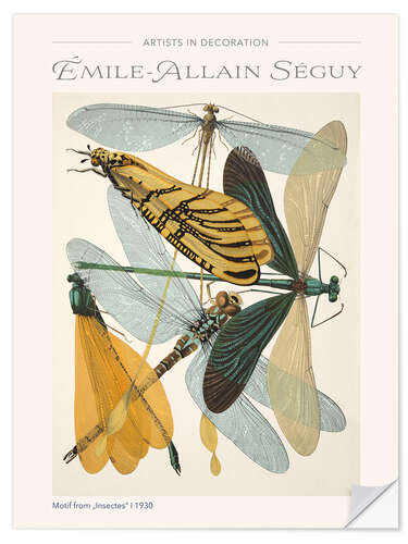 Sisustustarra Plate 9 From "Insectes", 1930