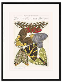 Gerahmter Kunstdruck Tafel 14, aus "Papillons", 1925