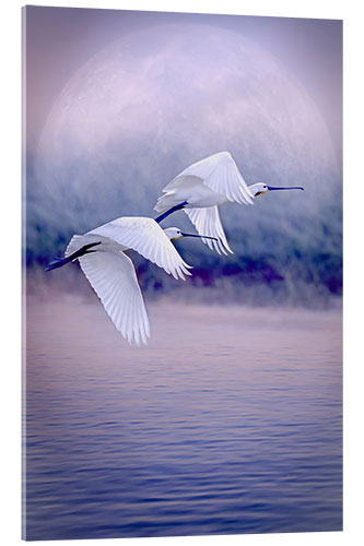 Akrylbilde Birds That Fly in Front of the Full Moon