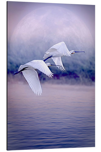 Stampa su alluminio Birds That Fly in Front of the Full Moon