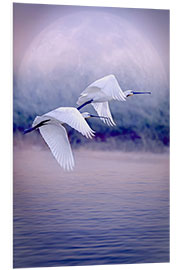 Foam board print Birds That Fly in Front of the Full Moon