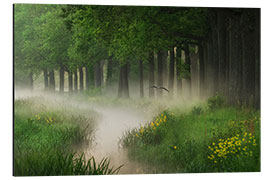 Aluminium print Heron in the Cloud Forest