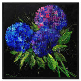 Gerahmter Kunstdruck Hortensie Blau