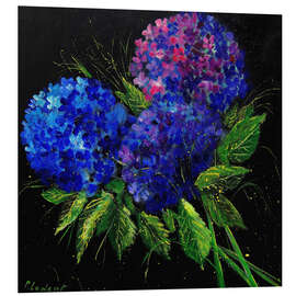 Foam board print Hydrangea Blue