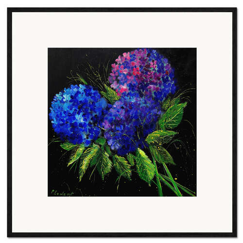 Framed art print Hydrangea Blue