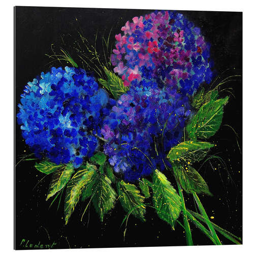 Gallery Print Hortensie Blau