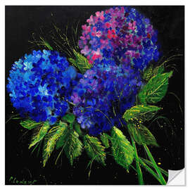 Selvklebende plakat Hydrangea Blue