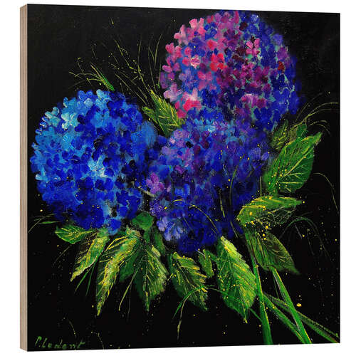 Trebilde Hydrangea Blue