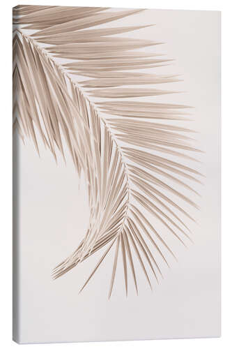 Canvas print Tan Palm Leaf