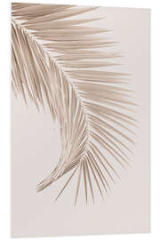 Foam board print Tan Palm Leaf